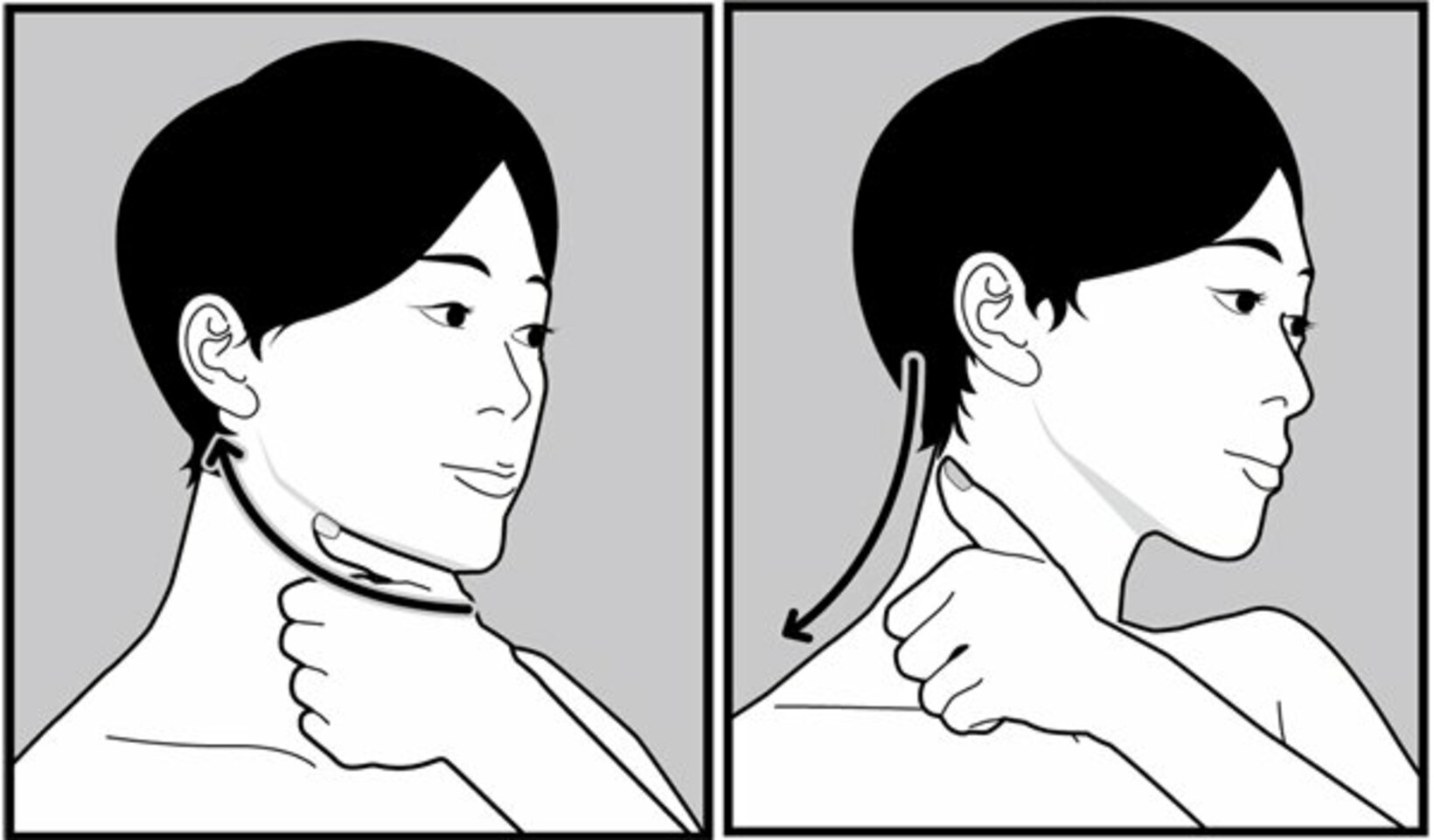  【老廃物の通り道をつくる】