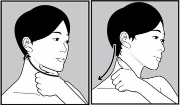  【老廃物の通り道をつくる】