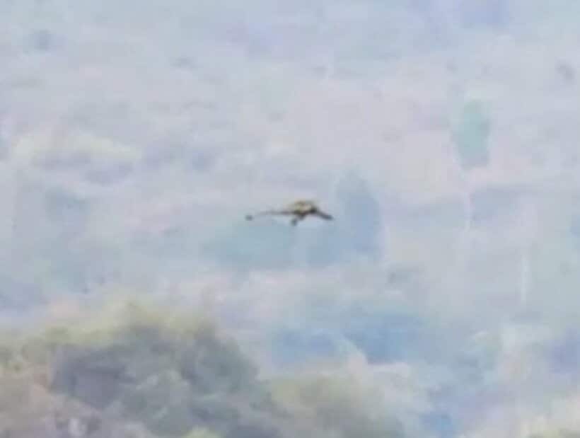  岩山の間を飛ぶ巨大な生物（ユーチューブから）