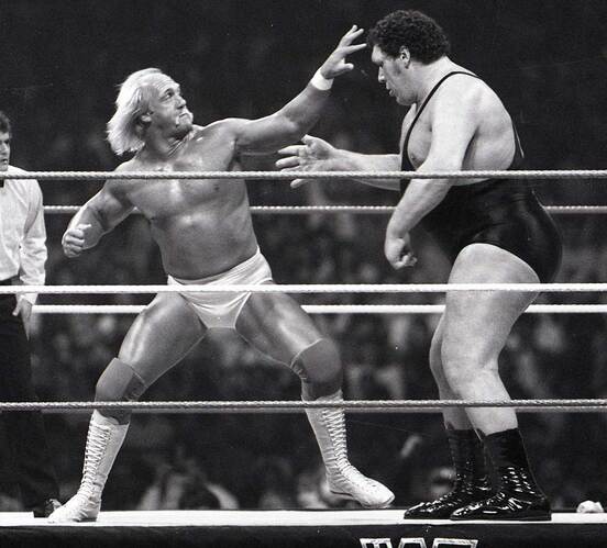 １９８７年３月、「ホーガンVSアンドレ」の世紀の一戦