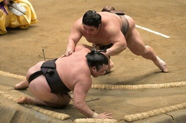 伯乃富士(上)に寄り倒されてしまった霧島