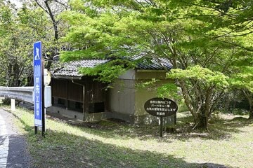 公衆トイレの裏手は木に囲まれうっそうとしている