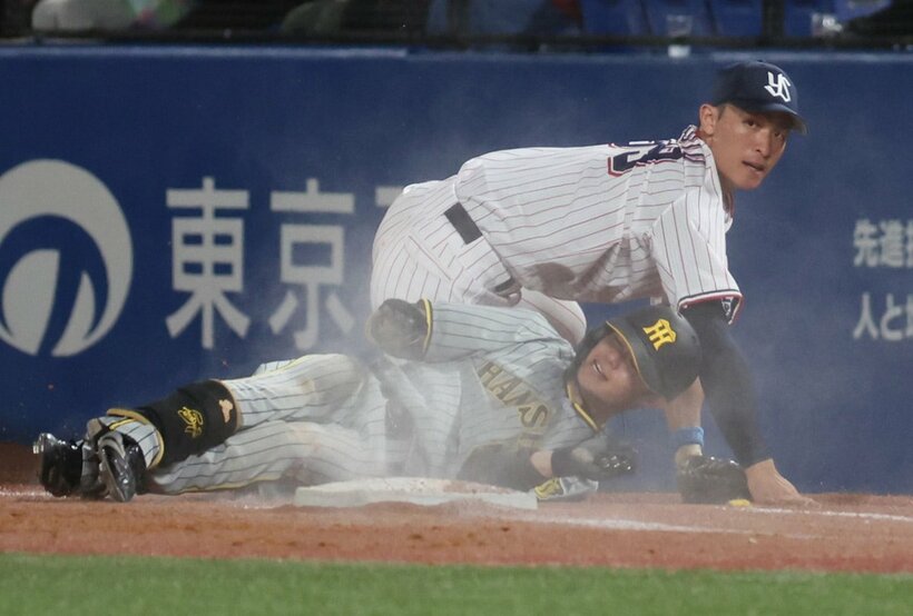  ７回、阪神・中野(下)とクロスプレーとなったヤクルト・宮本（東スポWeb）