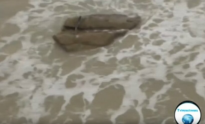  イスラエルの海岸では多数の人魚目撃情報が寄せられた（ユーチューブから）