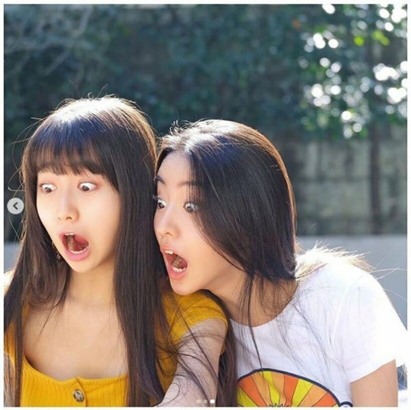  インスタグラム(@cocomi_553_official)から