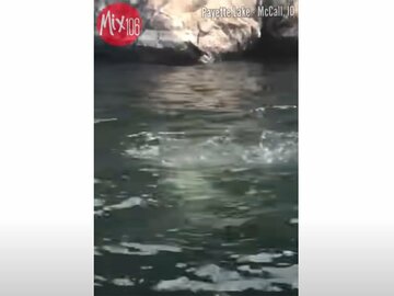 ペイエット湖で撮影された奇妙な生物（ユーチューブから）