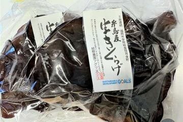 「結樹農園アグリス」で栽培された生きくらげ