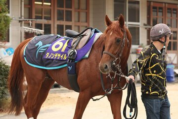 粗品の本命馬ダノンデサイル