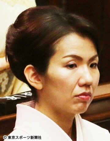  豊田真由子議員