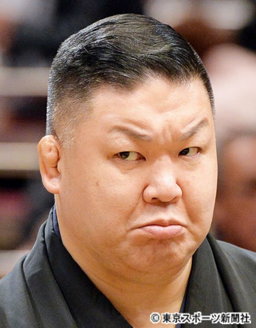  高田川親方
