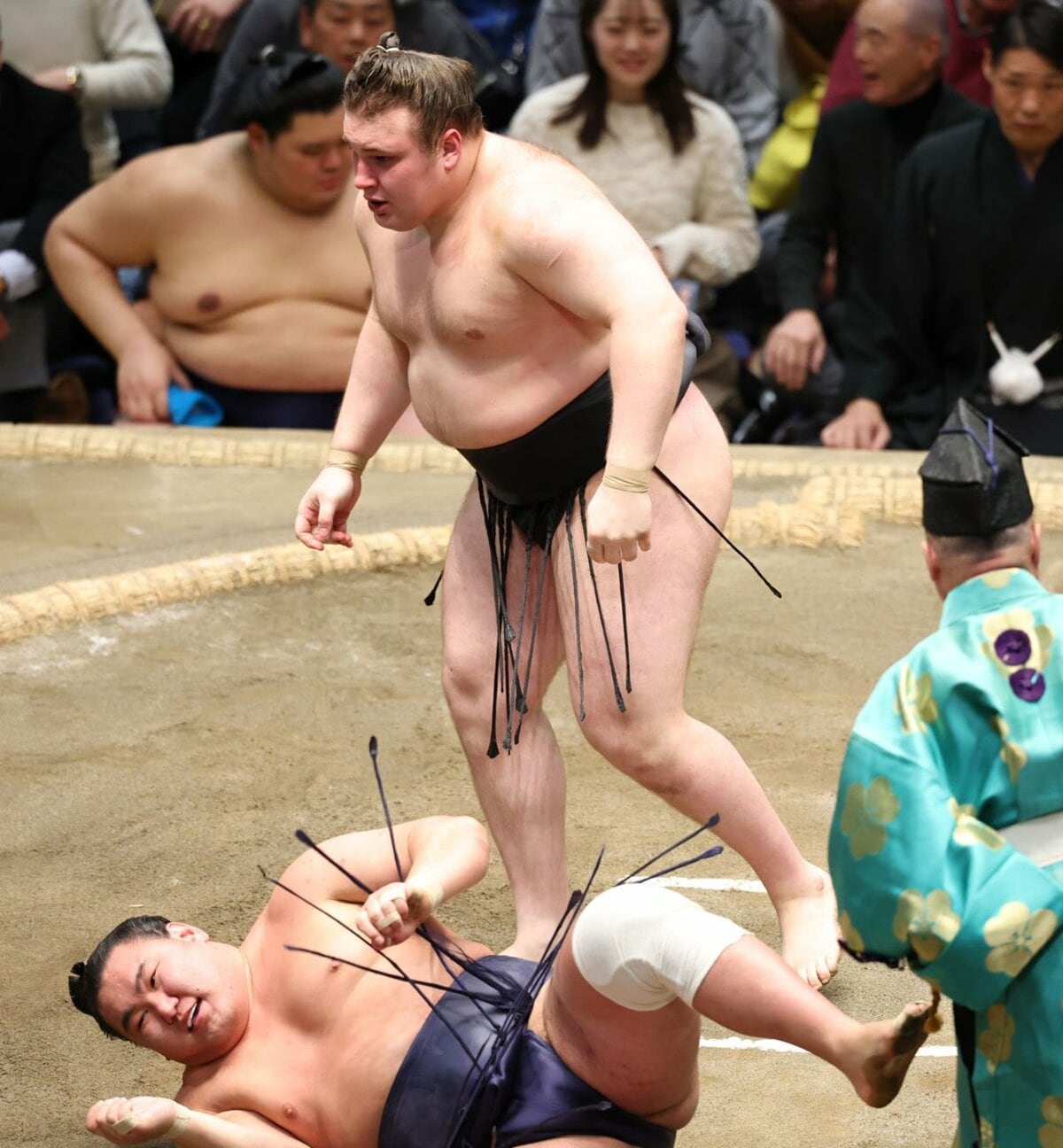 大相撲】安青錦の「素顔」を付け人が証言 筋金入りの〝相撲オタク