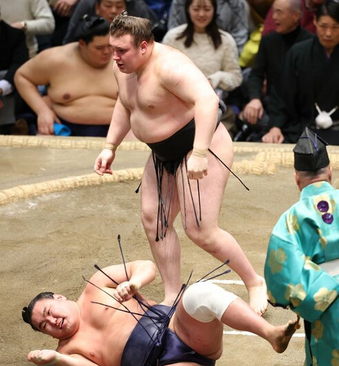 大相撲】安青錦の「素顔」を付け人が証言 筋金入りの〝相撲オタク