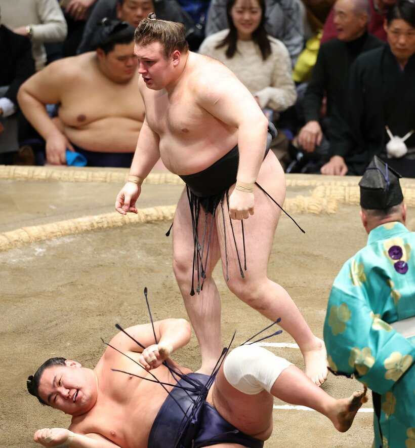 豊昇龍（下）を破り１１勝目をあげた安青錦