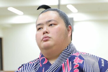 琴桜