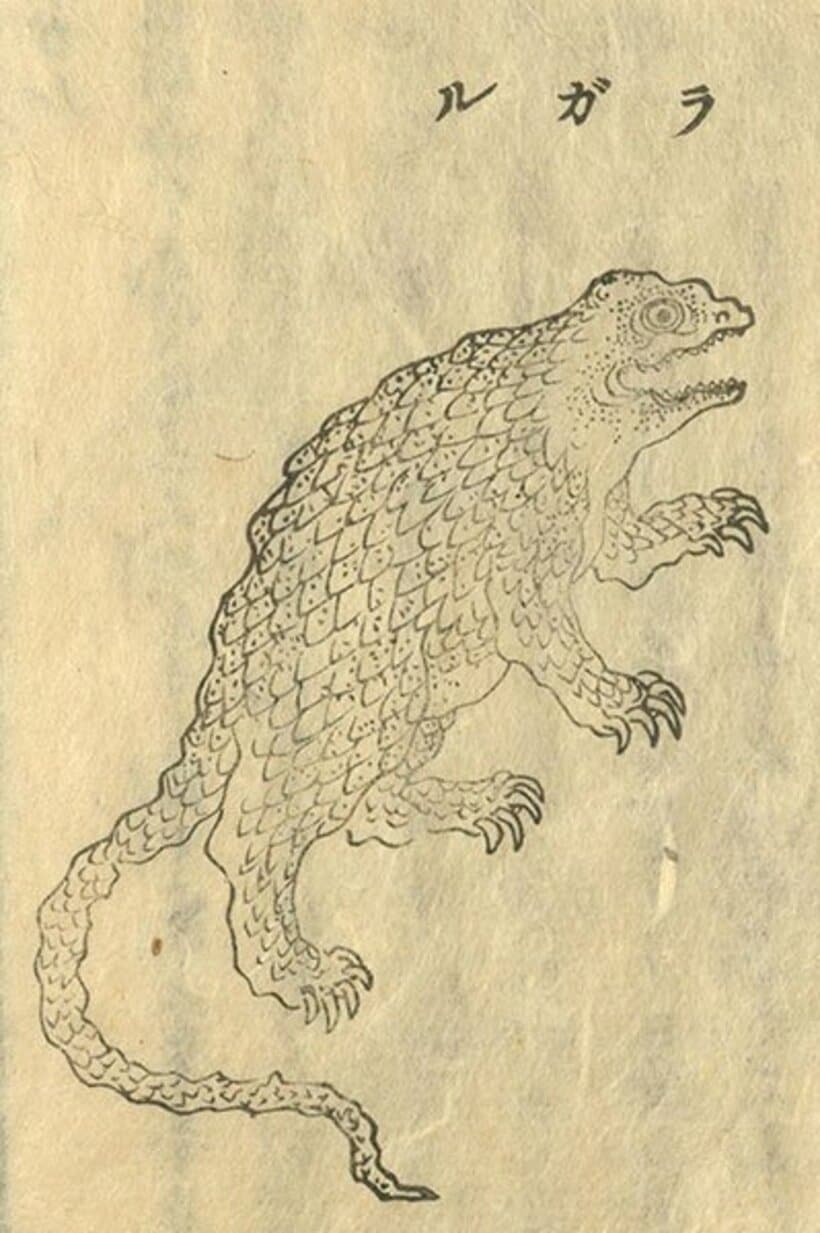  長崎聞見録に掲載された「ラガル」