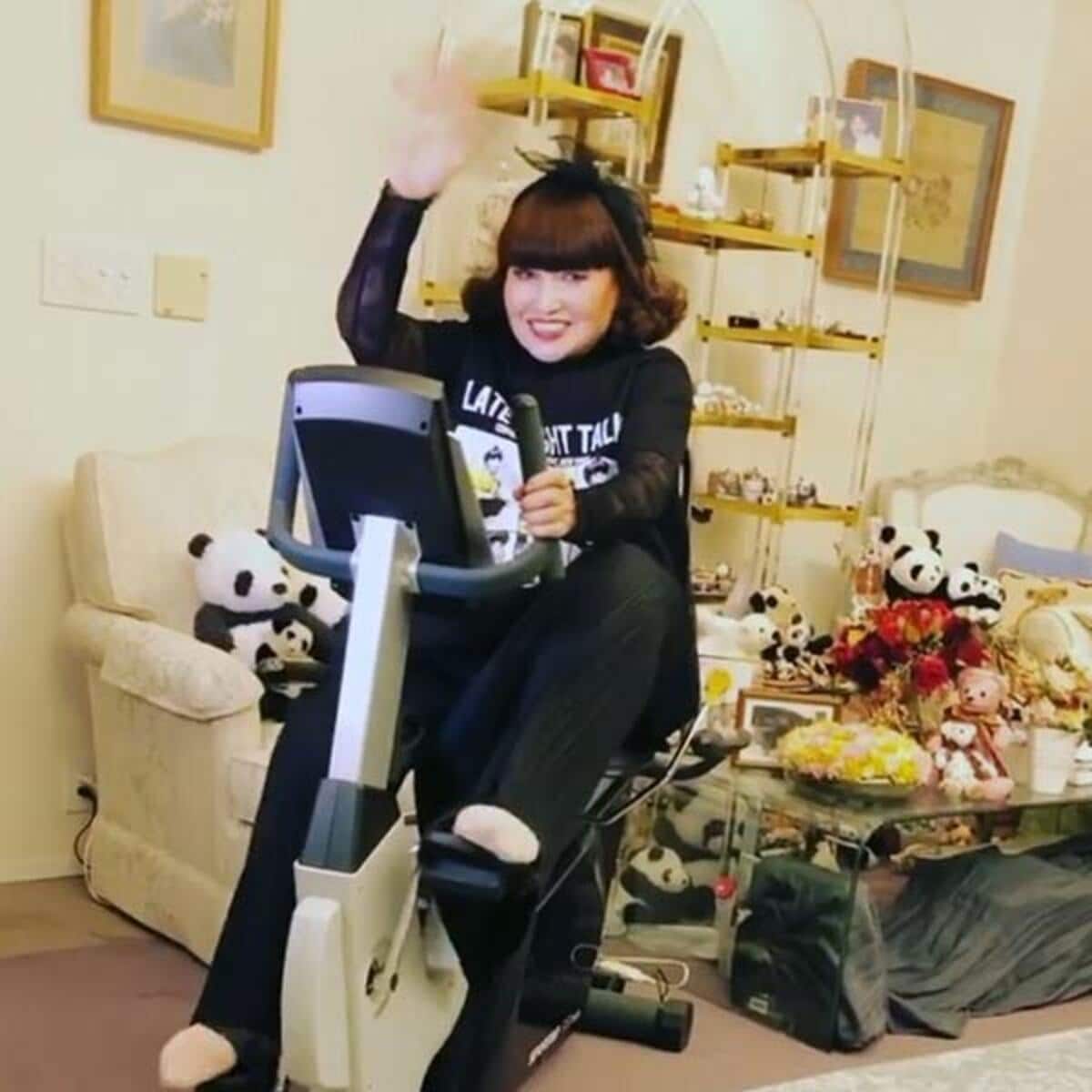 活動歴および当時の関連ビジュアル記録