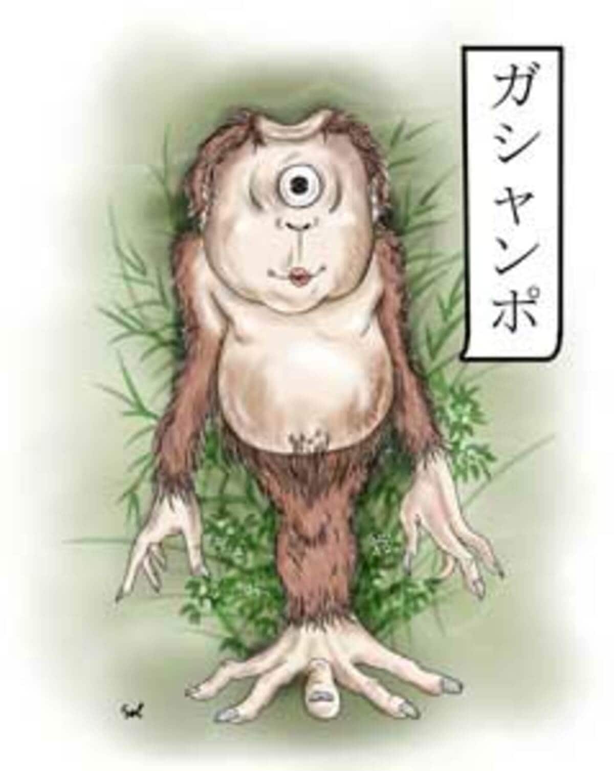 昔話の妖怪が現れた！？ 和歌山県富田の「かしゃんぼ」【UMA図鑑