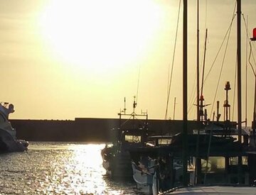  人口２万人程度の徳之島でデマを流されたら、たまったものではない！（東スポWeb）