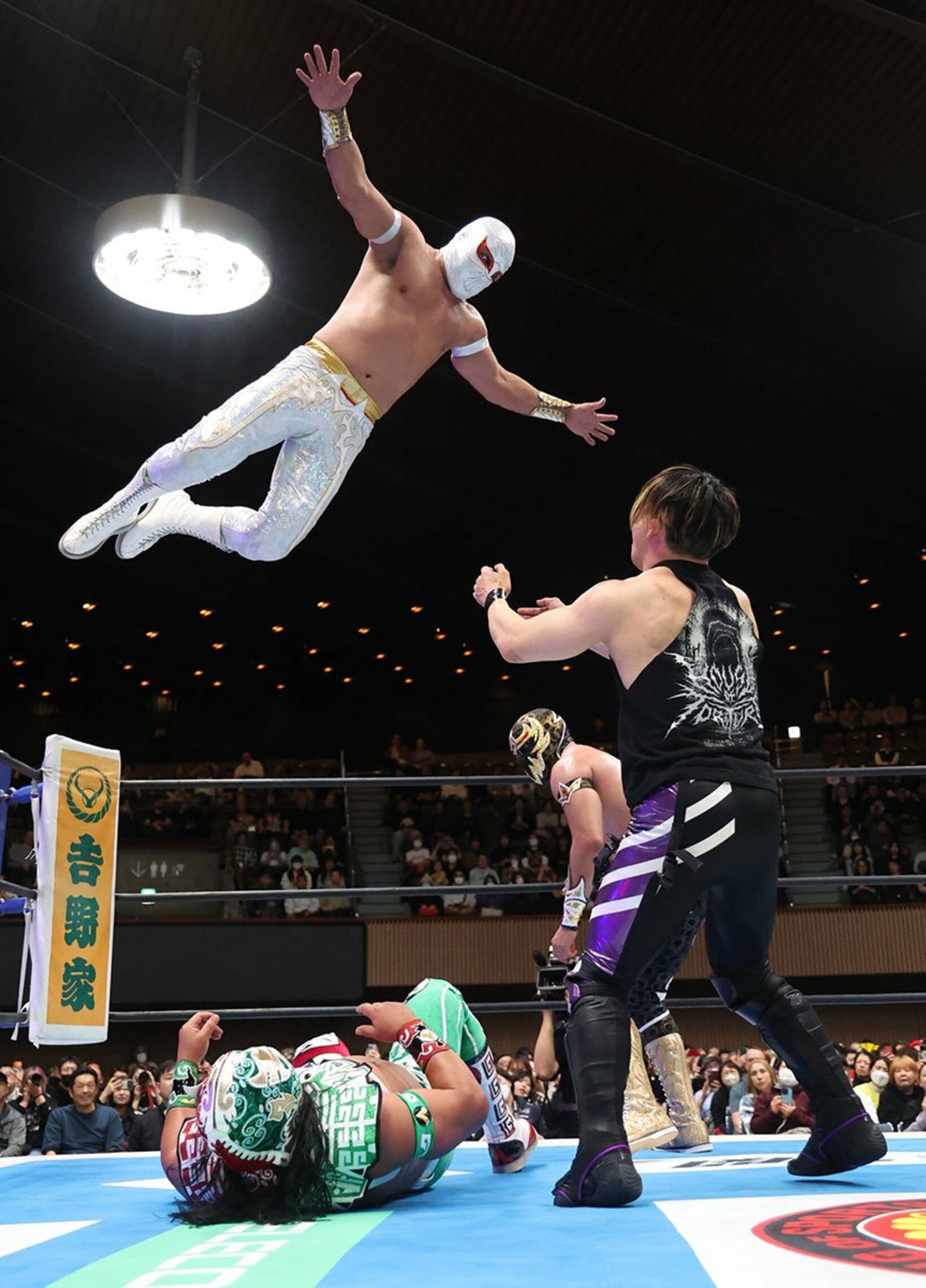 SHOめがけて飛ぶミスティコ