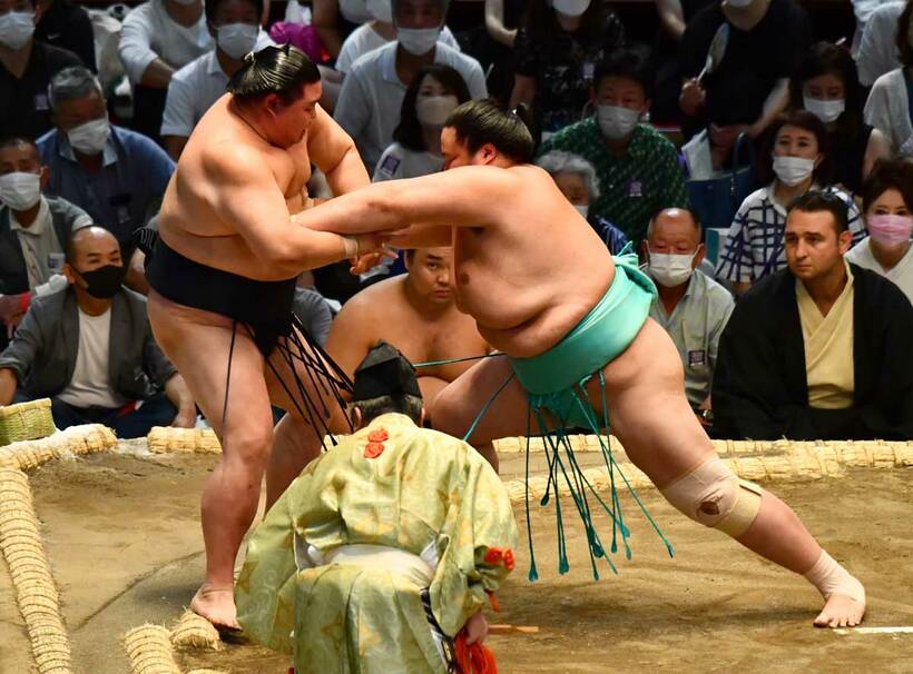  正代（左）は琴ノ若に押し出され早くもカド番（東スポWeb）