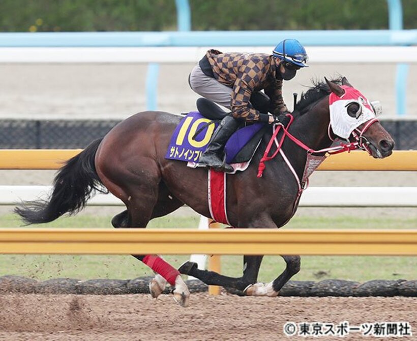  馬っぷりの良さは同厩舎コントレイル以上のサトノインプレッサ