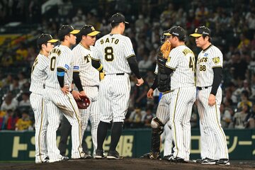 守備でも奮闘を見せている阪神内野陣