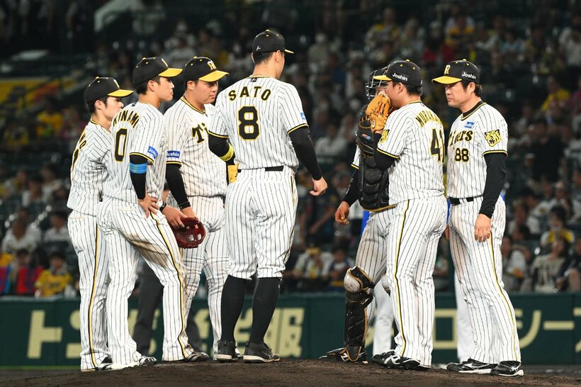 守備でも奮闘を見せている阪神内野陣