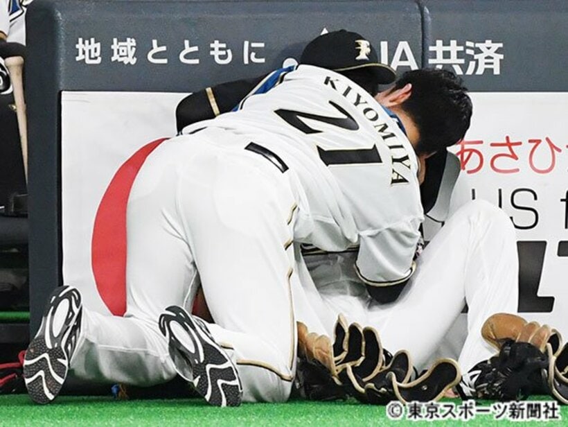  清水優心とじゃれ合う清宮幸太郎
