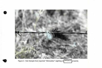スキンウォーカー・ランチの奇妙な生物の毛（米国防総省）
