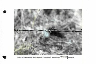 スキンウォーカー・ランチの奇妙な生物の毛（米国防総省）