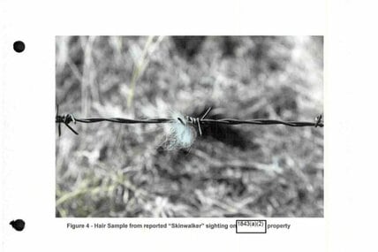 スキンウォーカー・ランチの奇妙な生物の毛(米国防総省)