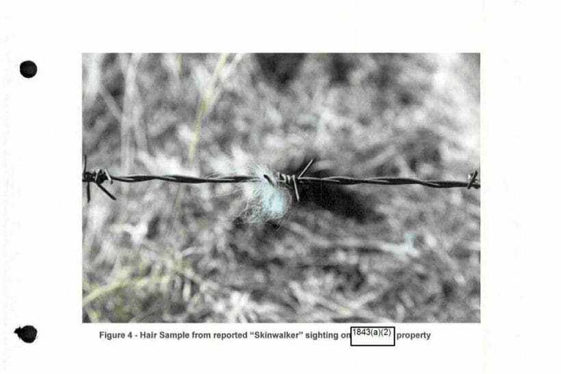 スキンウォーカー・ランチの奇妙な生物の毛（米国防総省）