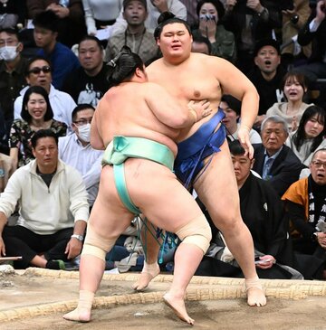 琴桜に寄り切りで敗れた大の里