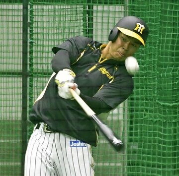  屋内練習場で汗を流す佐藤輝