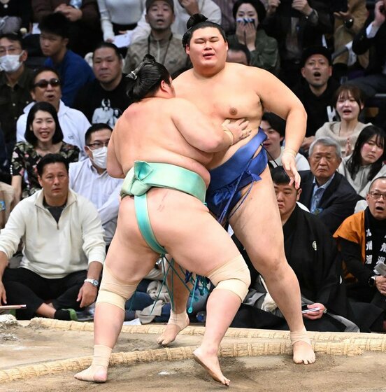 琴桜に寄り切りで敗れた大の里