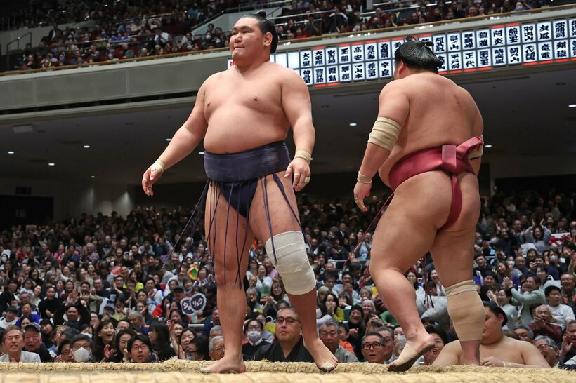 この日は大栄翔(右)のはたき込みに敗れた豊昇龍