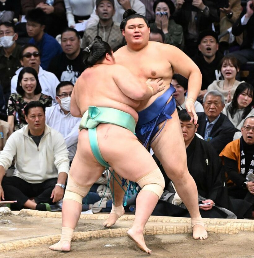 琴桜に寄り切りで敗れた大の里