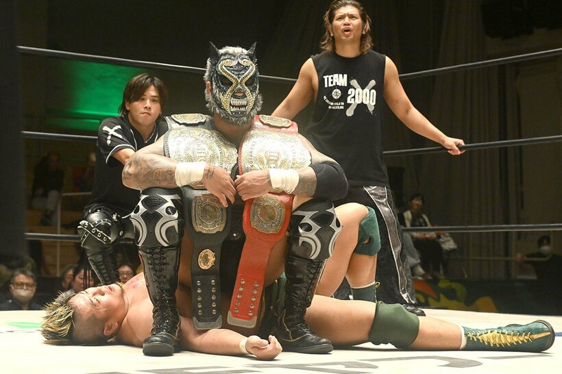 稲村に勝利したアルファ・ウルフ