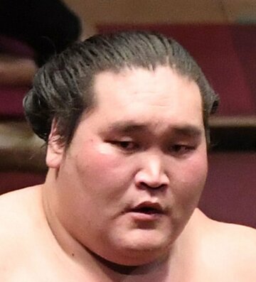  照ノ富士（東スポWeb）