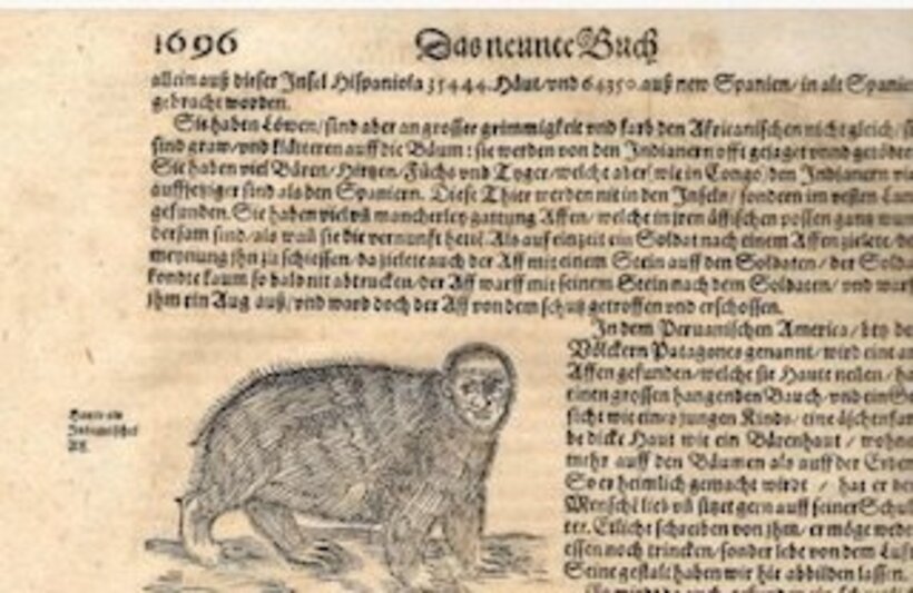  米国の洞窟で毛むくじゃらの生物が目撃されたという（ユーチューブから）
