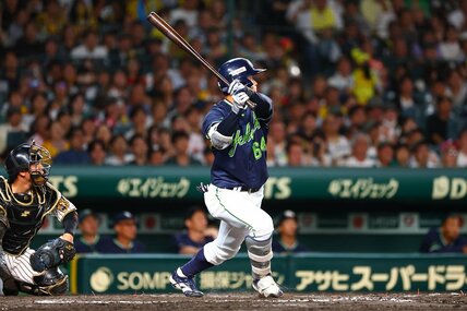 8回、ヤクルトは岩田幸宏の適時二塁打で逆転