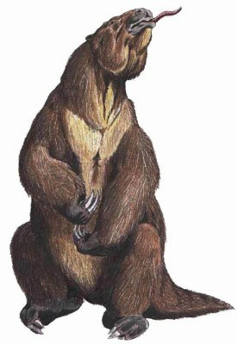 アラスカの「神の獣」(イメージ)
