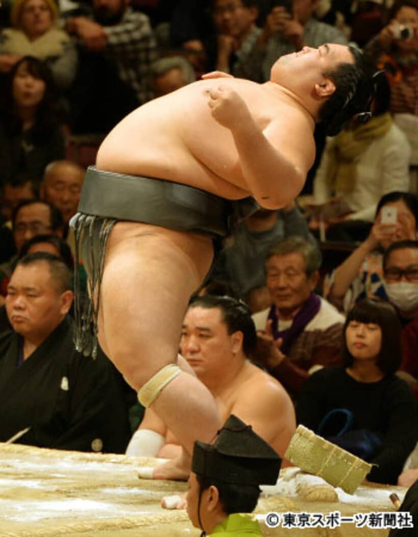 「菊バウアー」か「琴バウアー」か…