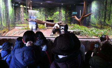 上野動物園のパンダ舎