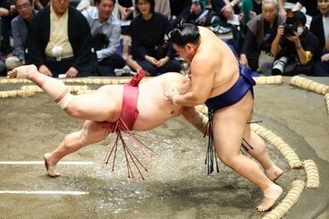 大栄翔(左)をはたき込みで下した大の里