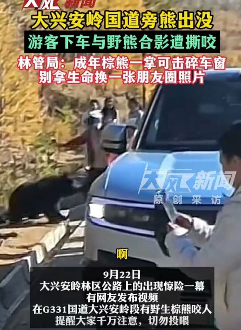 ヒグマが観光客にかみついた（微博から）