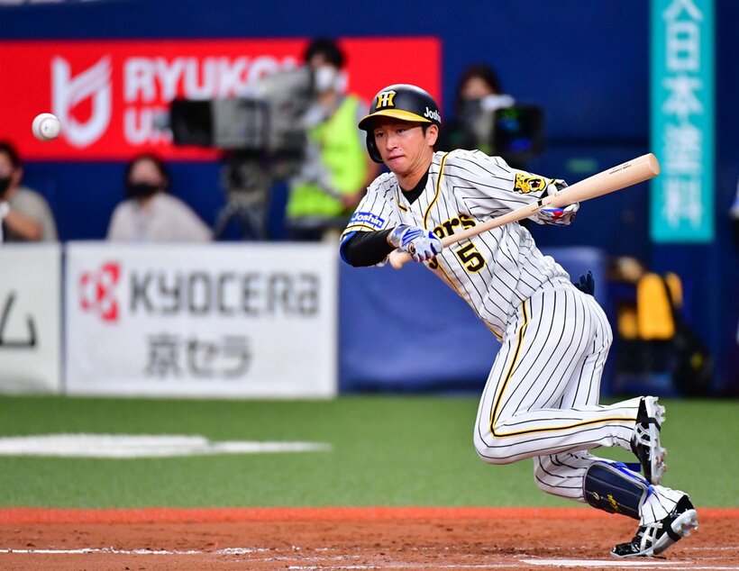  近本の調子が上がれば、阪神は一気に活気づくのだが…