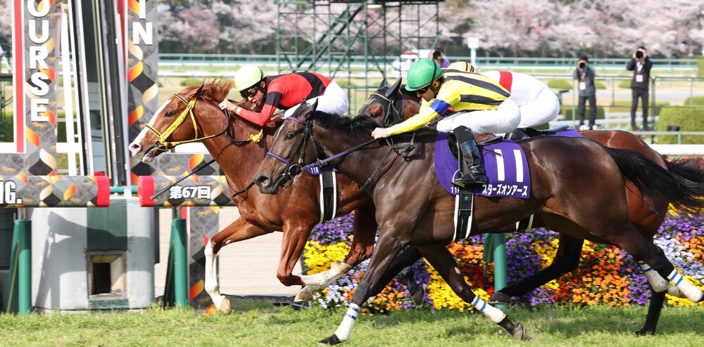 逃げた馬に迫る！