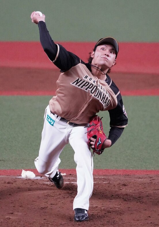  あまりの悲運に同情論も