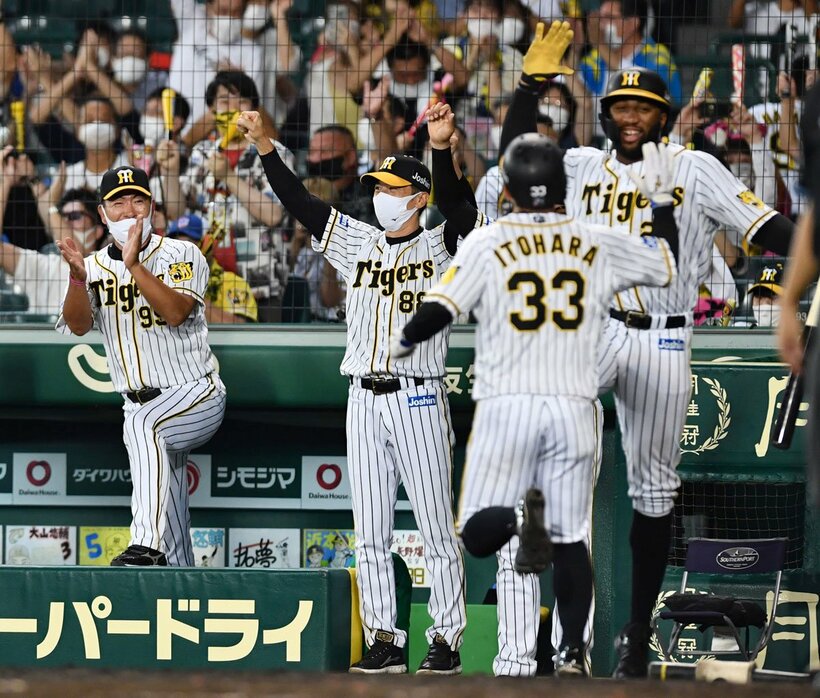  ７回、糸井の同点タイムリーに喜ぶ矢野監督ら阪神ナイン（東スポWeb）